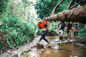 BIB: 
                            <button type="button" onclick="openModal(25375875)" class="btn btn-primary btn-sm float-right btn-popup" data-toggle="modal" data-target=".modal-high-quality">
                        <i class="fas fa-shopping-cart"></i> Add to Cart
                    </button>
                                            <button type="button" onclick="isThisMe(25375875, true)" class="btn btn-success btn-sm float-right btn-popup btn-isme hidden" data-toggle="tooltip" data-placement="bottom" title="นี่คือรูปของคุณใช่ไหม คลิกที่นี่เพื่อเอาเข้าอัลบั้ม">
                        <i class="fas fa-plus"></i> Add to album
                    </button>
                    <button type="button" onclick="isThisMe(25375875, false)" class="btn btn-warning btn-sm float-right btn-popup btn-isnotme hidden">
                        <i class="fas fa-ban"></i> Remove from album
                    </button>